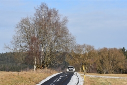 Foto-Credit: Harald Illmer