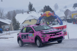 jaenner_2026_llmer_214