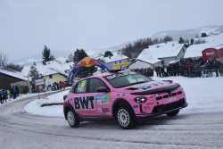 jaenner_2026_llmer_217