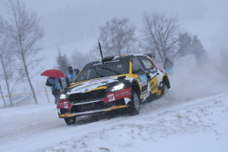 jaenner_2026_llmer_220