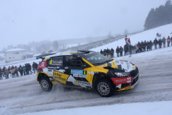 jaenner_2026_llmer_235