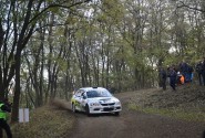 rallyew4_2021_illmer_413
