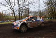 Foto-Credit: Harald Illmer