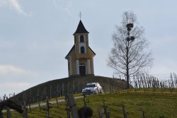 Baumschlager / Wicha - Rebenland Rallye 2015