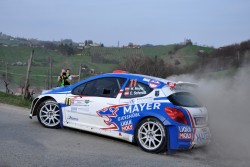 Mayer / Schmidt - Rebenland Rallye 2014