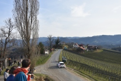 rebenland_2024_illmer441