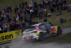 rebenland_2024_illmer749