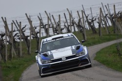 rebenland_2025_illmer_319