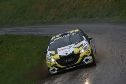 rebenland_2025_illmer_438