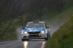 rebenland_2025_illmer_439