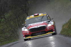 rebenland_2025_illmer_467