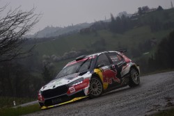 rebenland_2025_illmer_519