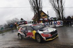 rebenland_2025_illmer_724