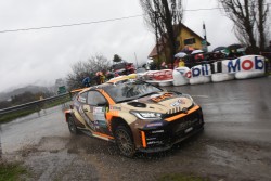 rebenland_2025_illmer_779