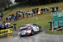 rebenland_2025_illmer_857