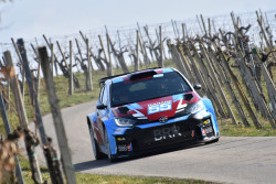 rebenland_2026_illmer_122