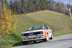 rebenland_2026_illmer_738