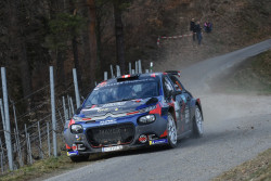 rebenland_illmer_261