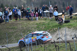 rebenland_illmer_262