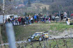 rebenland_illmer_265