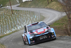 rebenland_illmer_270