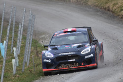 rebenland_illmer_274