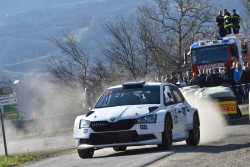 rebenland_illmer_463