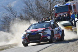 rebenland_illmer_467