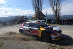 rebenland_illmer_482