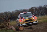 waldviertel_rallye_2017_illmer_810