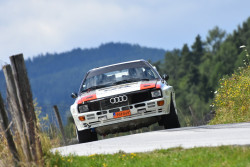 rallye_weiz_2025_illmer_217