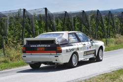 rallye_weiz_2025_illmer_236