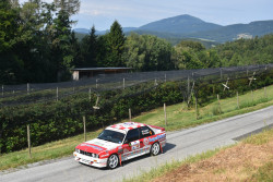 weiz_2026_illmer_317