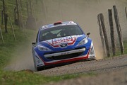 Mayer / Schmidt - Rebenland Rallye 2014
